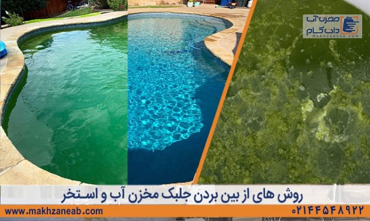 از بین بردن جلبک مخزن آب و استخر